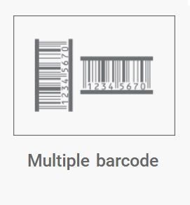 Multiple barcode